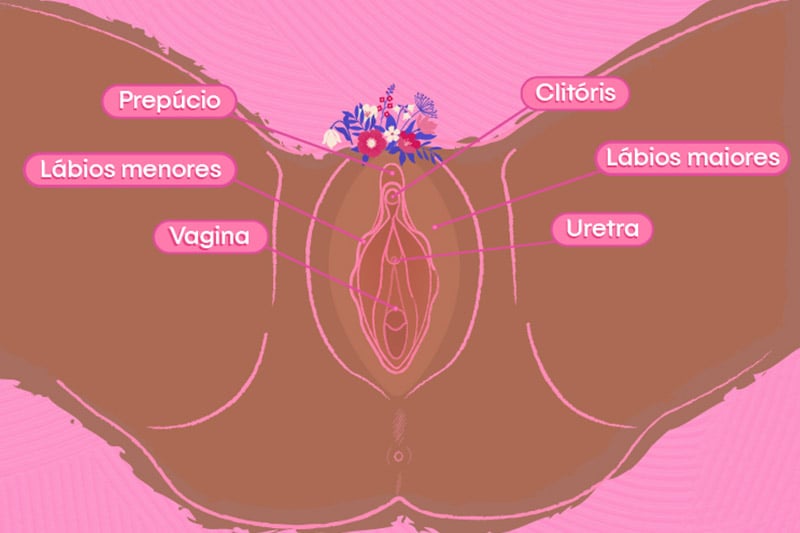 vagina-inchada-2