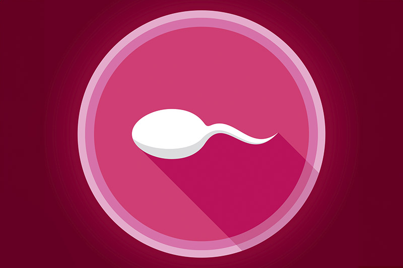 Ilustração de espermatozoide em fundo rosa, para artigo sobre espermicida, um método contraceptivo de barreira