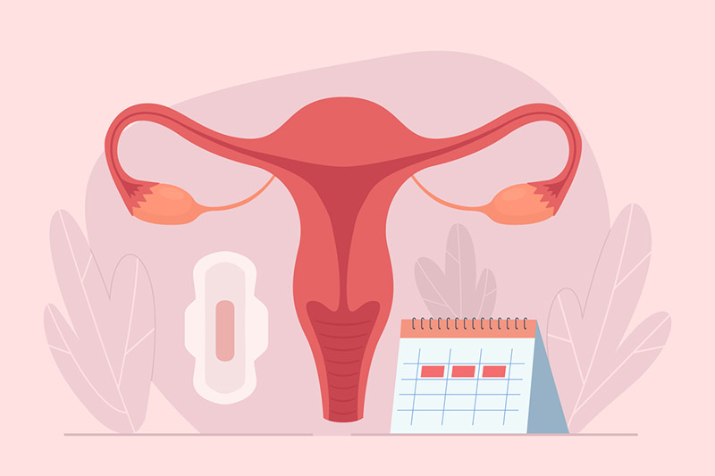 Menstruação irregular: possíveis causas e tratamentos