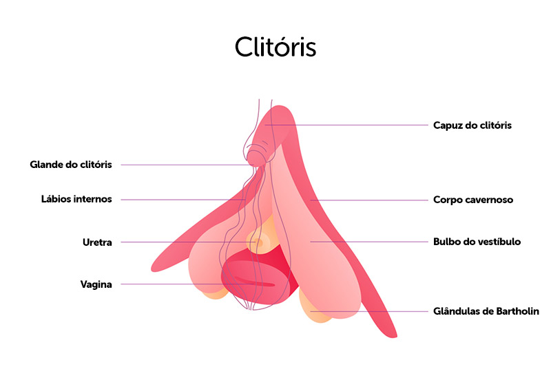 onde-fica-o-clitoris-2