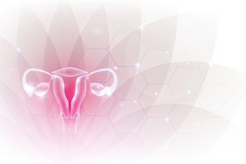 Quem tem endometriose pode ter relação sexual?