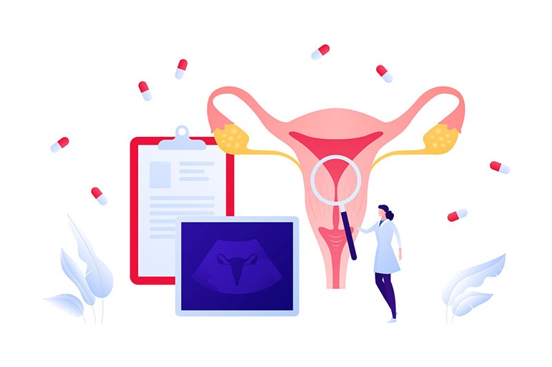 desenho de uma médica olhando um sistema reprodutor feminino