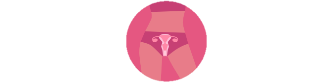 desenho de um quadril feminino destacando o útero