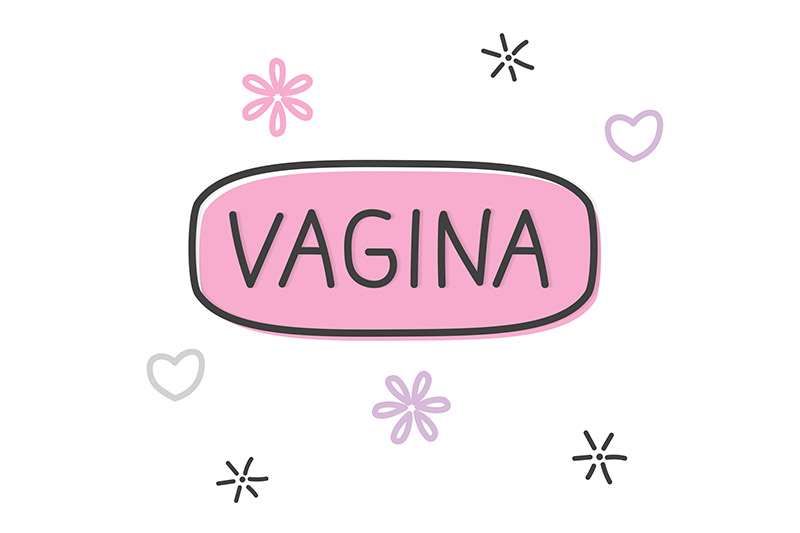 tipos-de-vagina-2