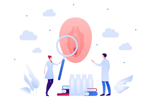 desenho de dois médicos analisando uma vulva com uma lupa